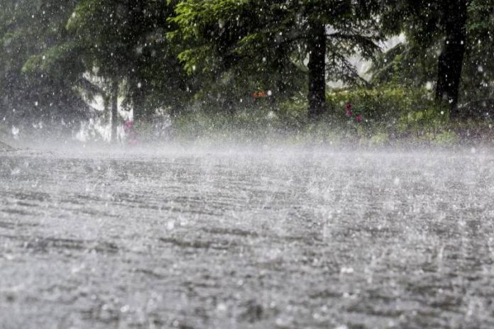 PDMA Announced Rains in First Week Of August